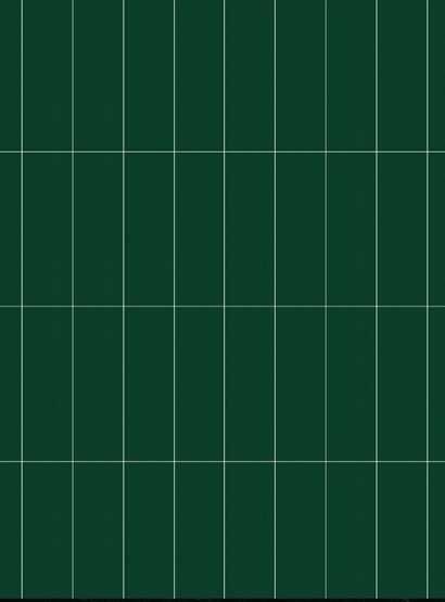 Painel SPC Parede 2900x600