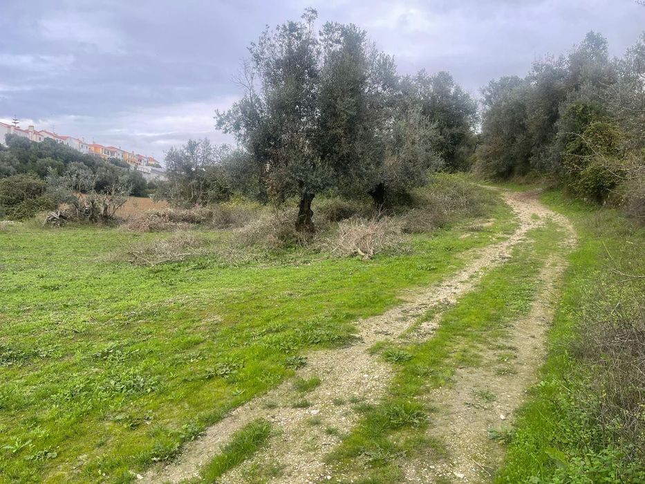 Terreno Urbanizado