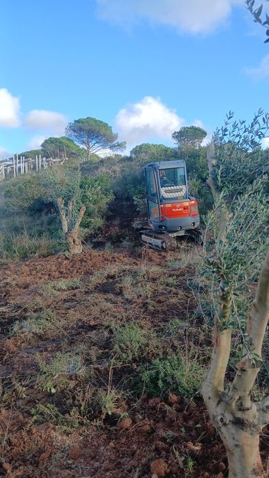 Limpeza de terrenos cortes e podas de árvores.