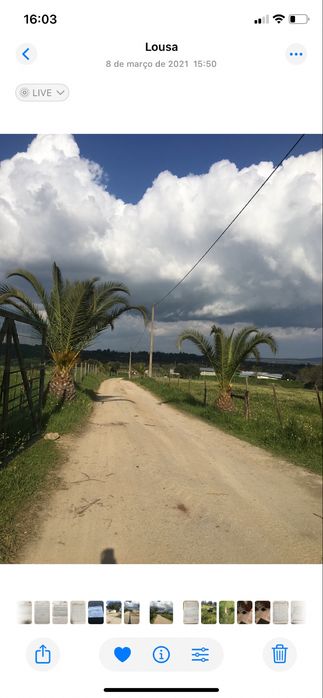 Propriedade agricola com 20 hectares