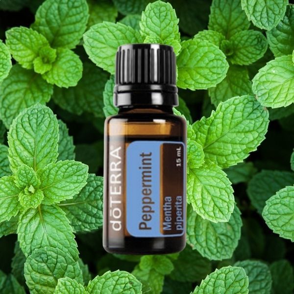 М'ята доТЕРРА 15 мл