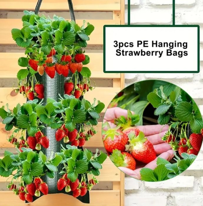 Мешки для выращивания клубники,ягод и овощей .