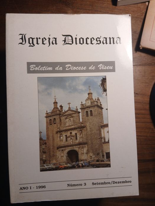 Boletim da Diocese de Viseu, Igreja Diocesana