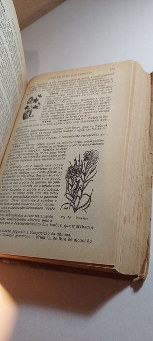 Livro de Ouro das Famílias - 5577 Receitas