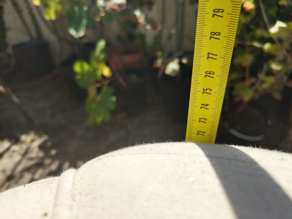 Sofá clássico 15€