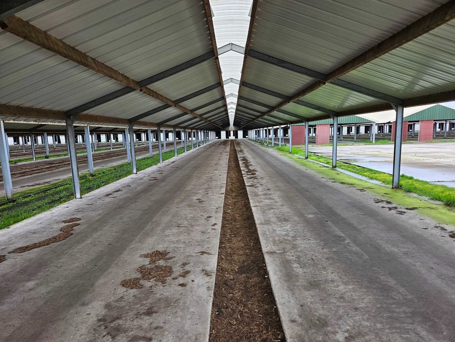 Konstrukcja stalowa 8.10x31.5 m wiata hala magazyn 255 m2