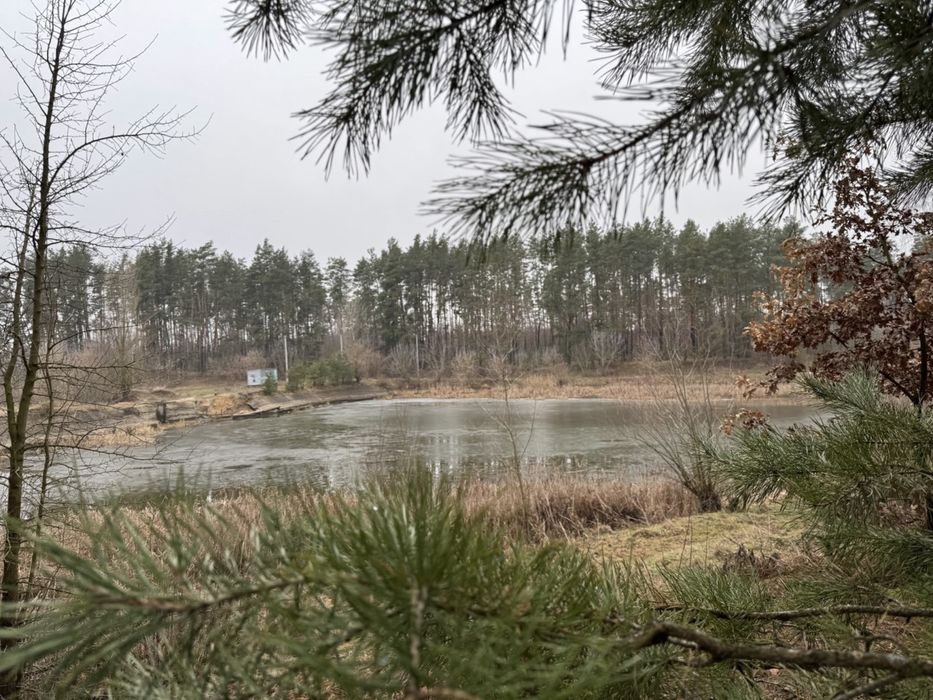 Земельна ділянка. Електрика! Терміново! 38соток. Лишня.