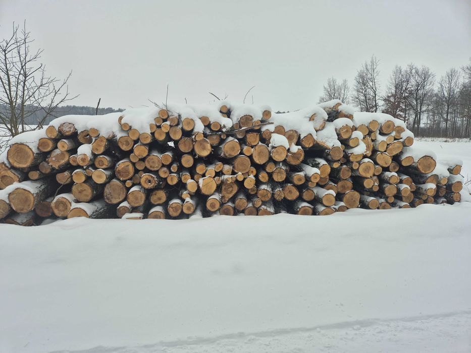 Drewno Opałowe Brzoza S2a papierówka opał Grab Dąb Olsza