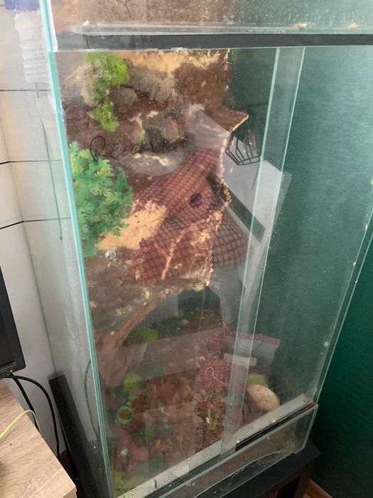 Terrarium szklane Diversa 250 L 100x50x50cm dla gekona uszkodzone