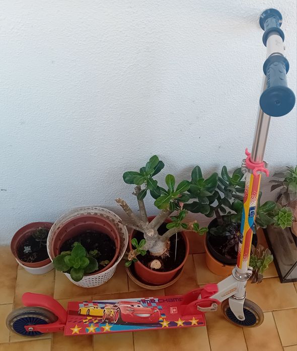 Trotinete Faísca 5-7anos