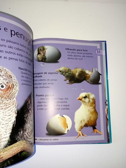 Enciclopédia temática educativa - Aves