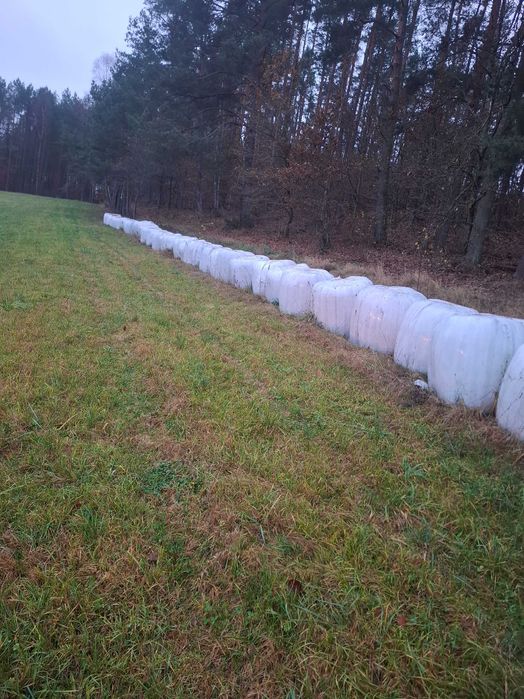 Sianokiszonka, baloty