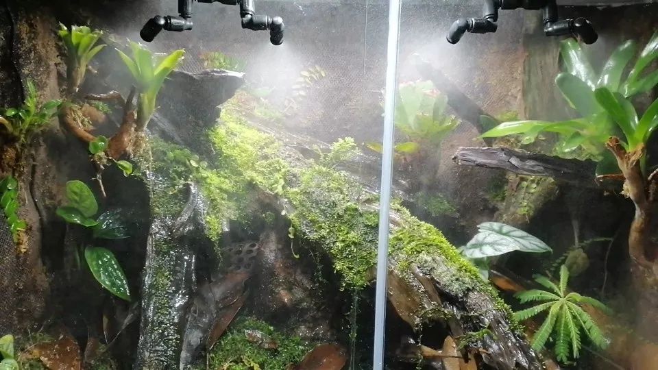 Dysza zraszająca z przelotką system zraszania terrarium jak MISTKING Krapkowice • OLX.pl