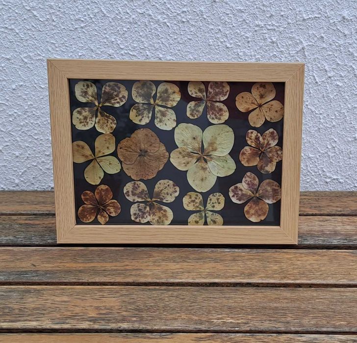 Azores Collection Frame - Black64584216567169120