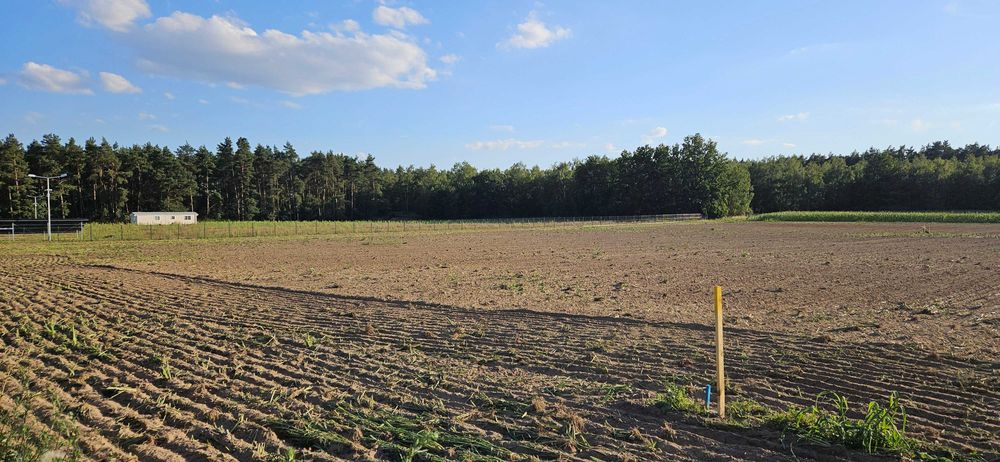 Działki budowlane, blisko las i jezioro !! (1162 m2, MPZP, dwa wjazdy)