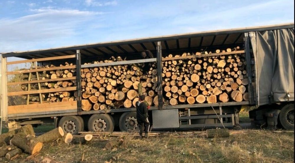Продам дрова оптом та в роздріб: швидка доставка, мінімальна ціна, якісна укладка без передплати. 7/12/30 м3