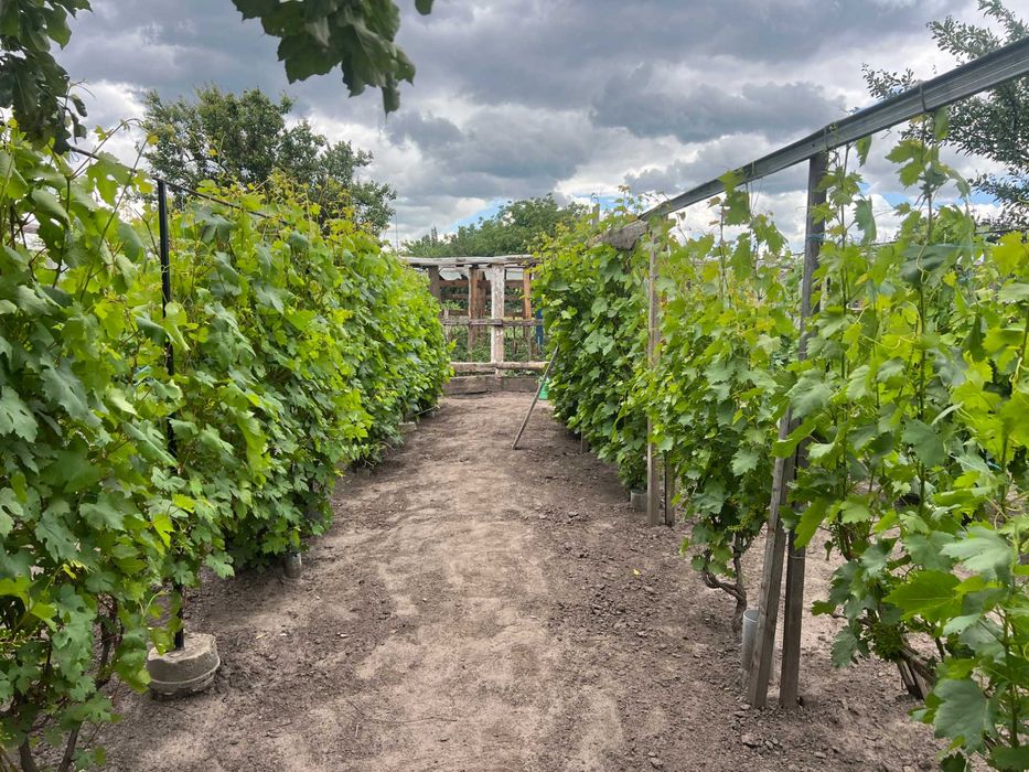 Капітальний будинок в місті Яготин - 5 кімнат, Є ВІДЕООГЛЯД