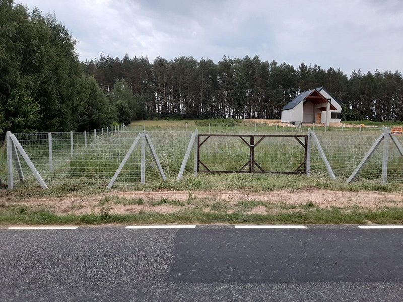 Ogrodzenie siatka leśna betonowe słupki