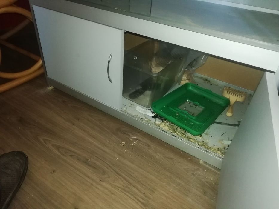 Клетка для шиншил