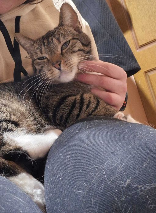 Jędrek – Twoje Rozgadane Serduszko na Czterech Łapkach