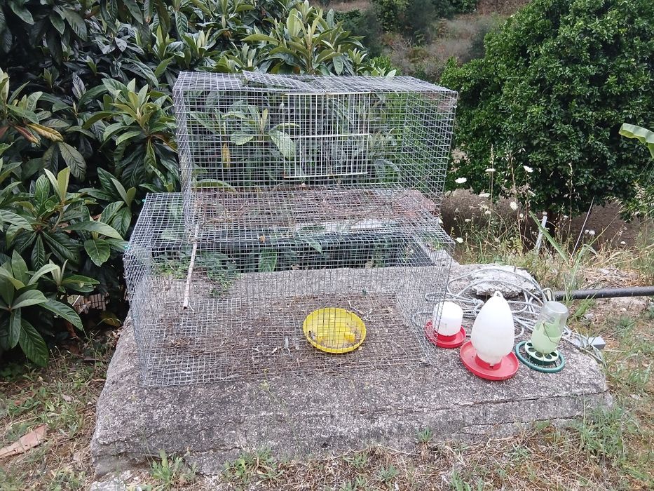 Lote gaiolas com varias medidas