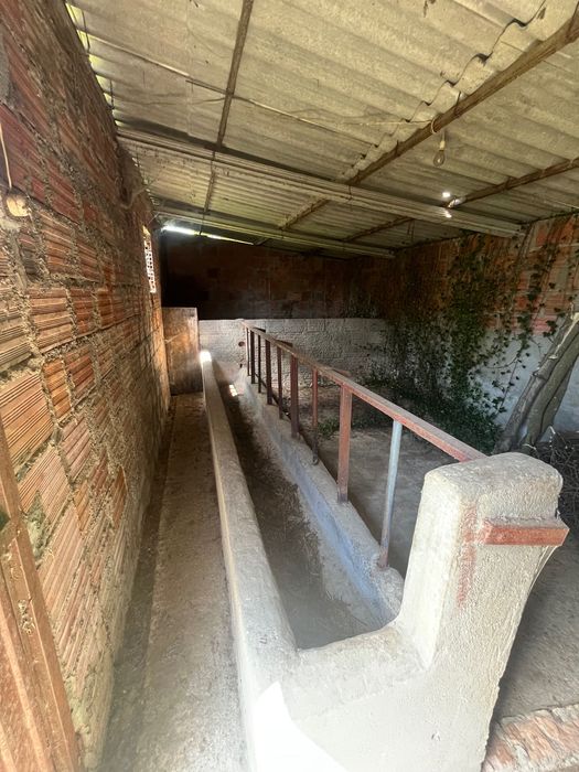 Arrenda-se Terreno em Chaves -Lameirão aproximadamente 300mt2