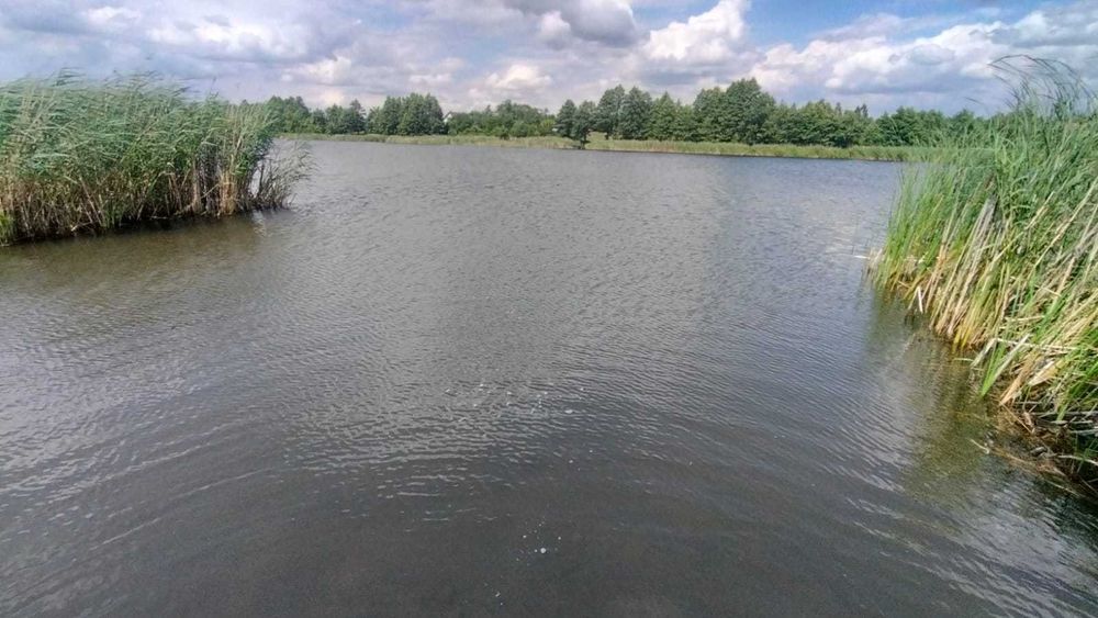 Działka nad jeziorem