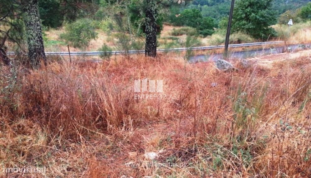 Venda Terreno, Ovil, Baião — Campelo E Ovil, Porto