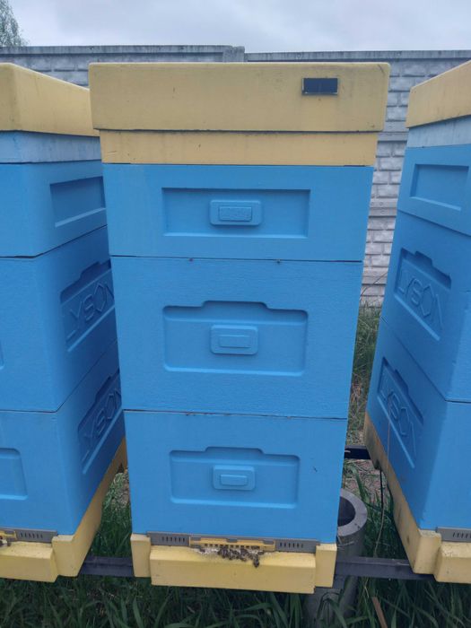 Улей из пенополистирола, Дадан,  Lyson, окрашеный.