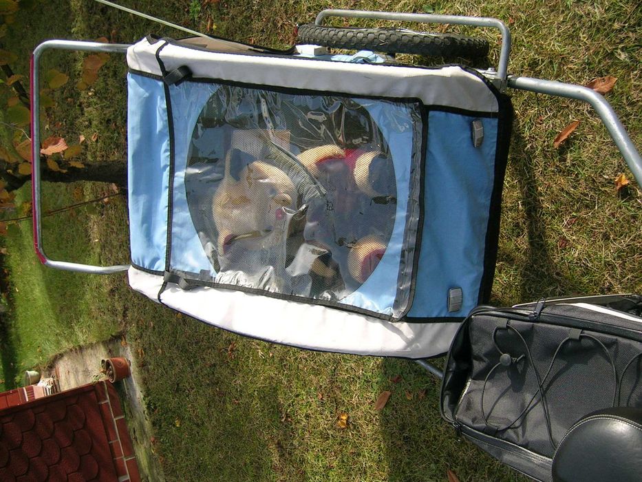 przyczepka rowerowa riksza dla dziecka ładna