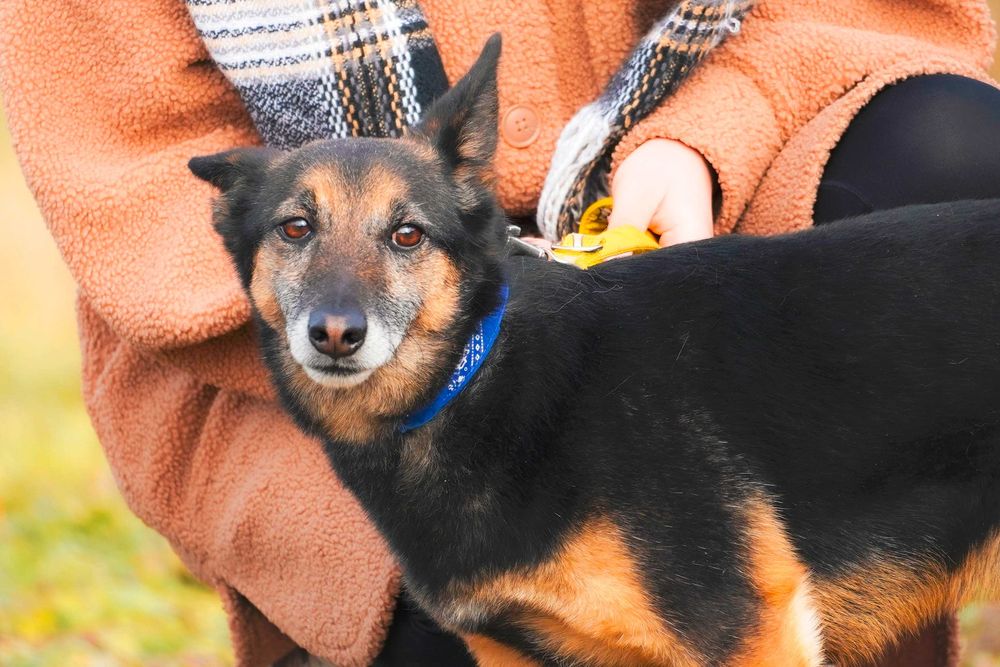 Edwardo szuka przyjaciela