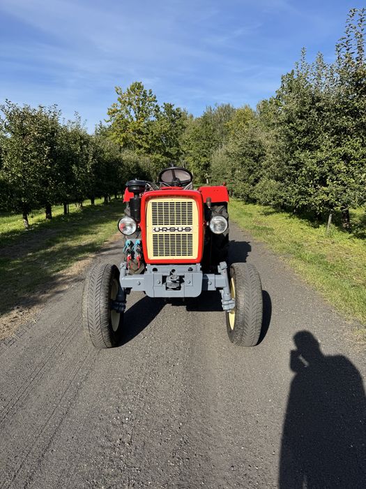 Ursus C330M sadowniczy wąski