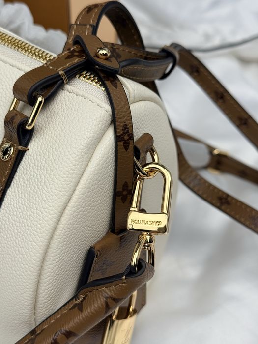 Сумка Louis Vuitton LV Express Bag