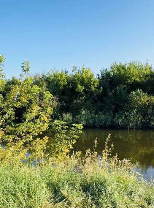 Продам земельну ділянку 2 га над річкою