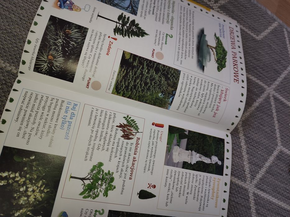 Edukacja i zabawa gra planszowa