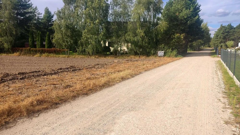 Zdjęcie 8