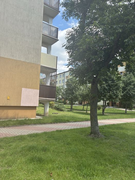 Mieszkanie 3 pok. 37,6 m2 os Dziesięciny