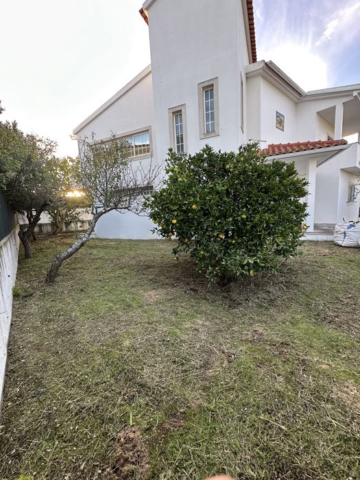 Serviço de Jardinagem, Desmatação e Limpeza de Terrenos