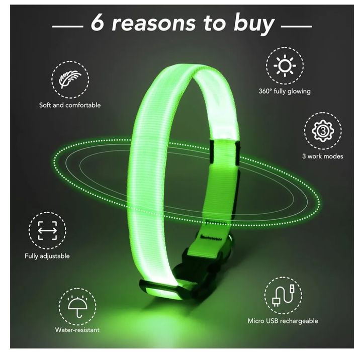 Świecąca obroża dla psa w nocy, regulowana Led