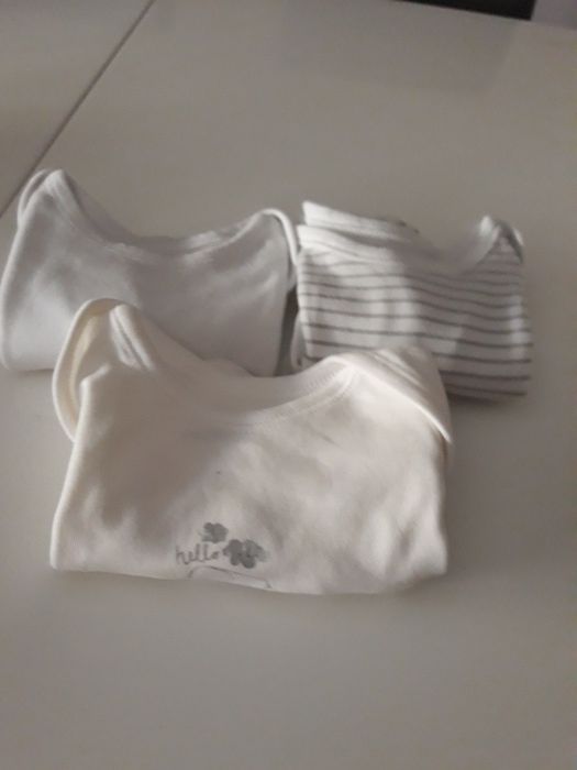 Bodys com manga , sem manga e manga comprida