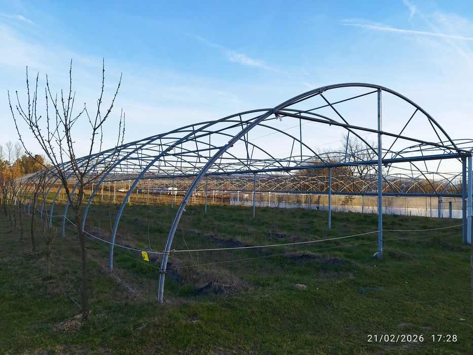 Estufa agricola usada