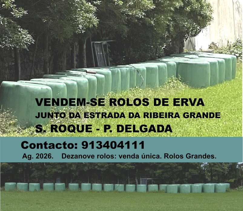 Rolos de Erva (Grandes)
