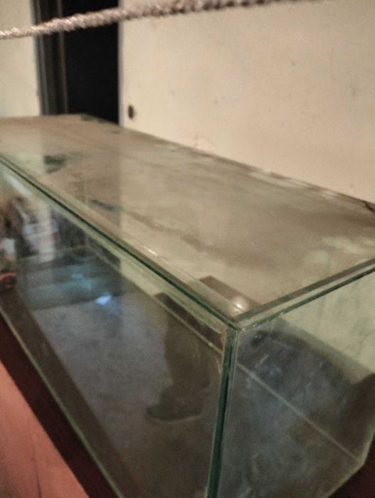 Akwarium, terrarium 100 litrów