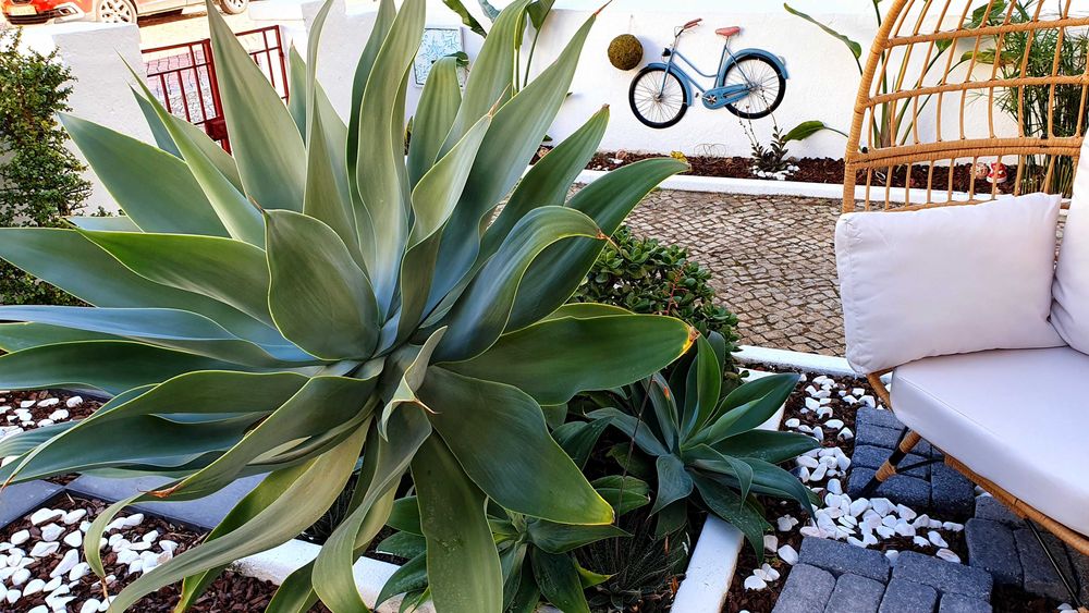 Quarto para alugar em Centro de Faro