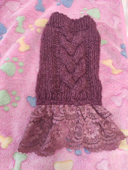 Одяг для собачки