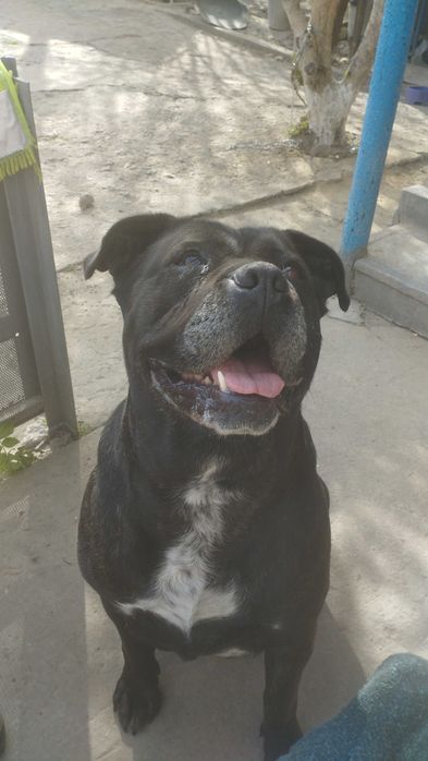 Предлагаем вязку.