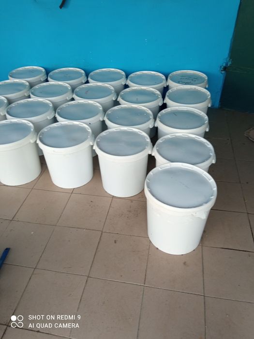 Miód przszczeli rzepakowy