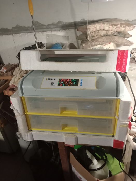 Інкубатор Птаха яець