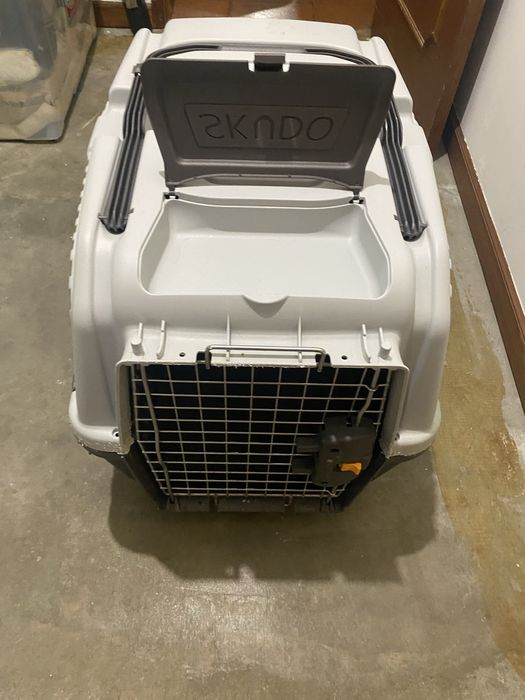 Caixa transpoerte para cao