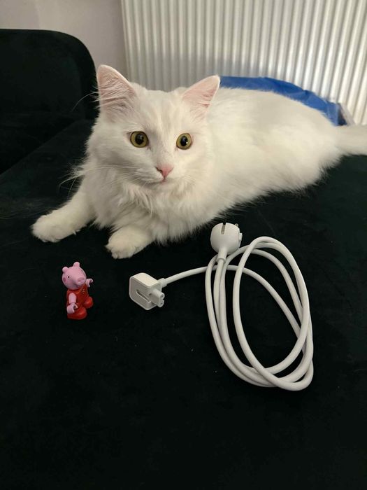 Kabel do ładowania Macbook apple